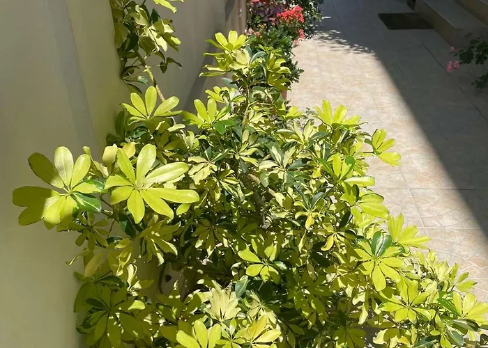 Vendégház Gergana Kiten