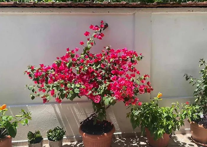 Vendégház Gergana 4*