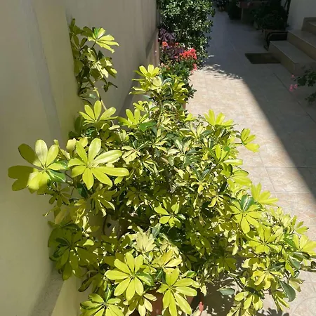 Guest house Gergana Kiten (Burgas)