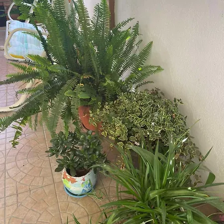 Gergana Guest house 4*