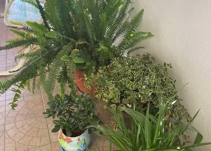 Gergana Guest house 4*